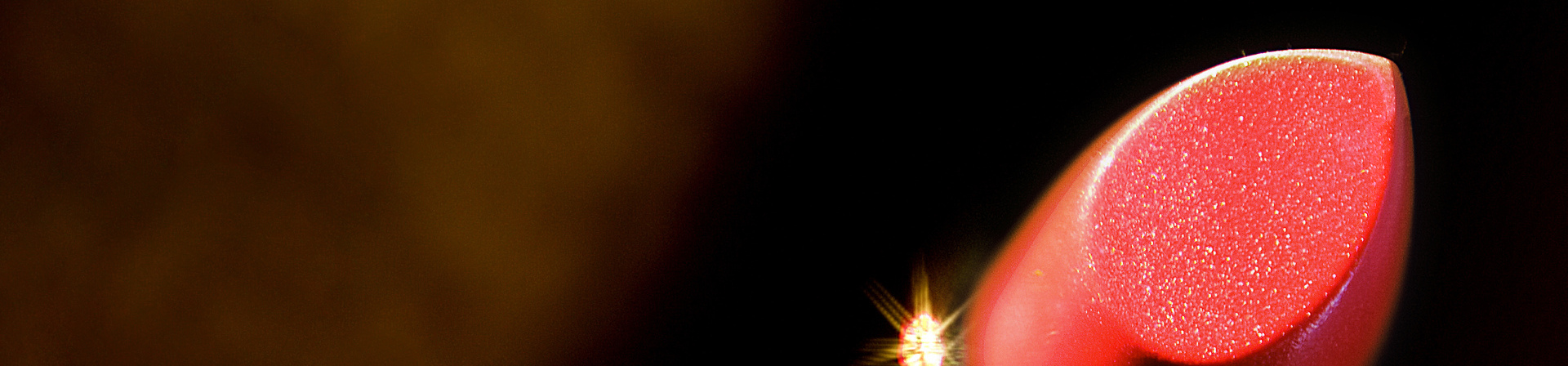 &nbsp;